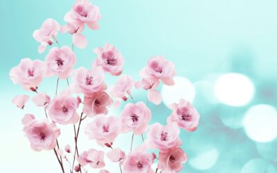 Bach-virágterápia – a lélek és test harmóniájáért